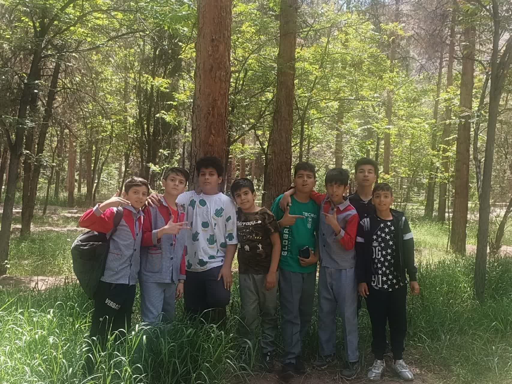 دبستان هوش برتر